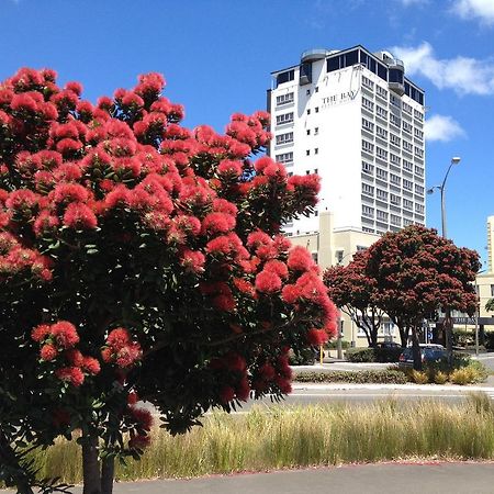 Bay Plaza Hotel Wellington Exteriör bild