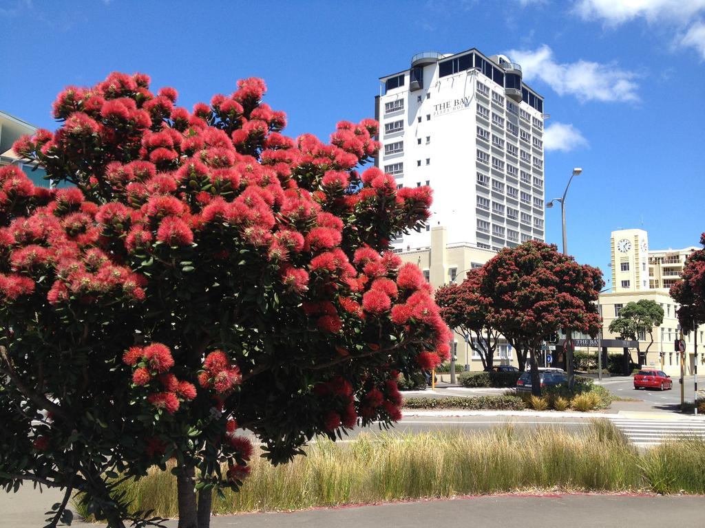Bay Plaza Hotel Wellington Exteriör bild