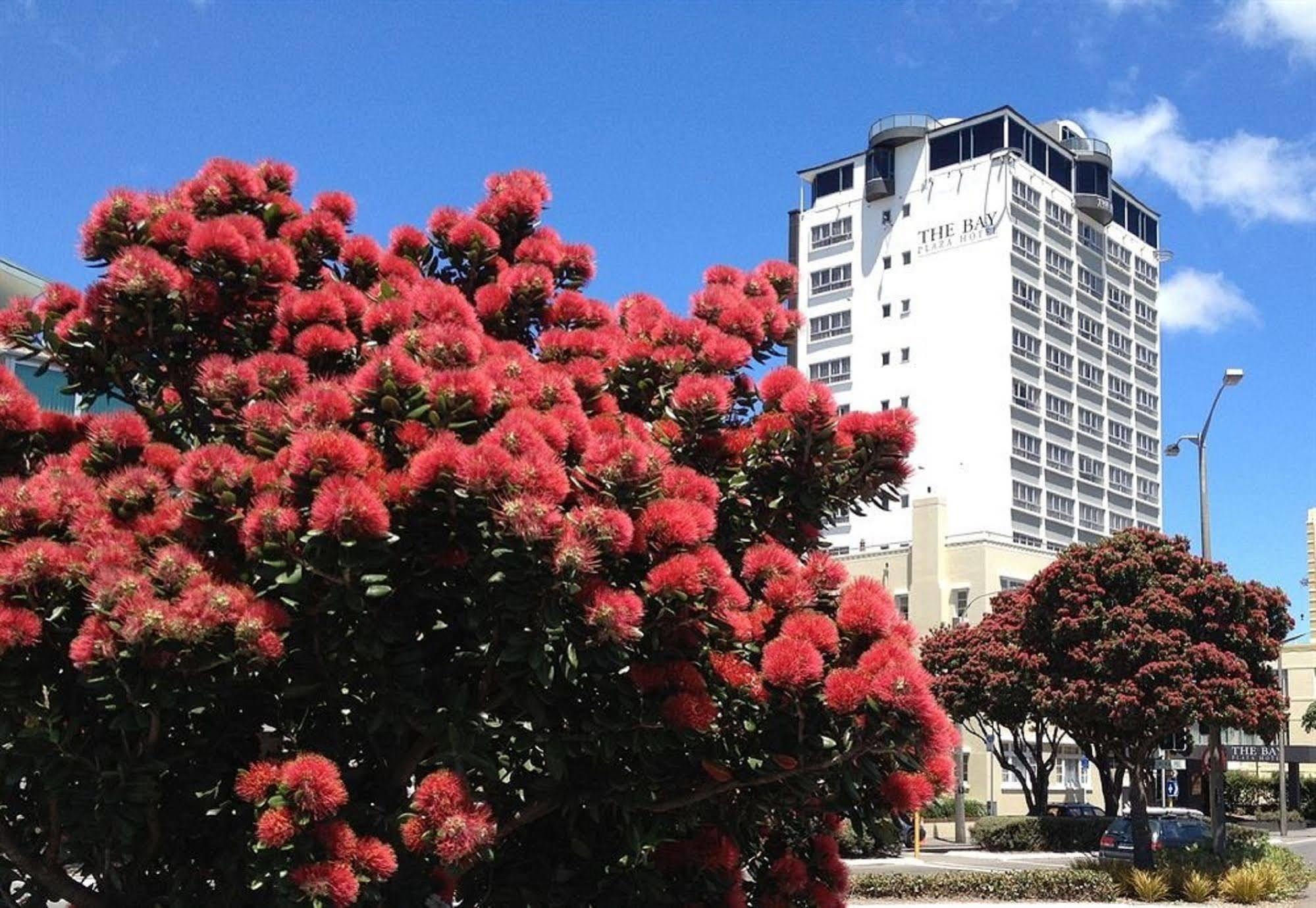 Bay Plaza Hotel Wellington Exteriör bild